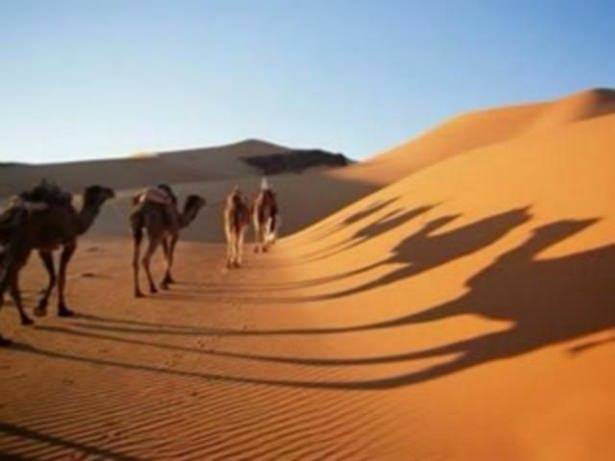Her Müslüman'ın bilmesi gereken cevaplar - 12