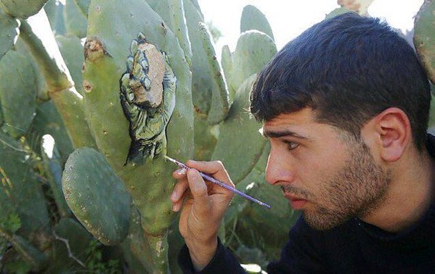 Filistinli sanatçı direnişi kaktüse resmetti - 3