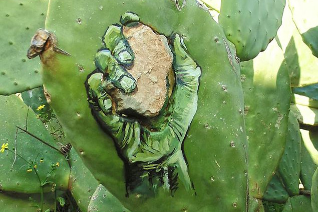 Filistinli sanatçı direnişi kaktüse resmetti - 7
