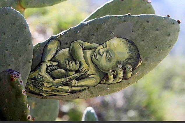 Filistinli sanatçı direnişi kaktüse resmetti - 5