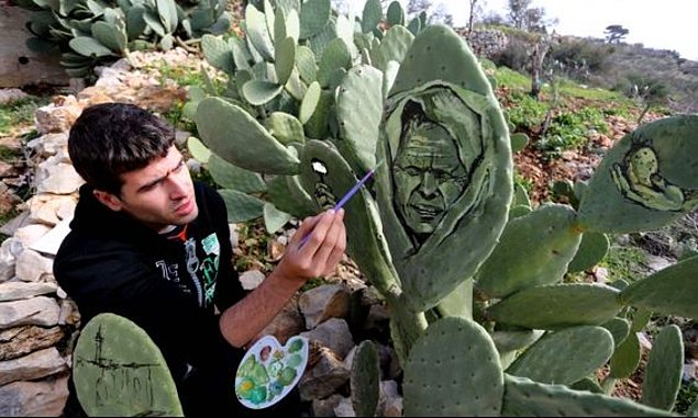 Filistinli sanatçı direnişi kaktüse resmetti - 2