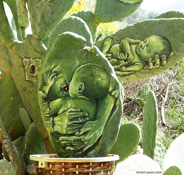 Filistinli sanatçı direnişi kaktüse resmetti - 4