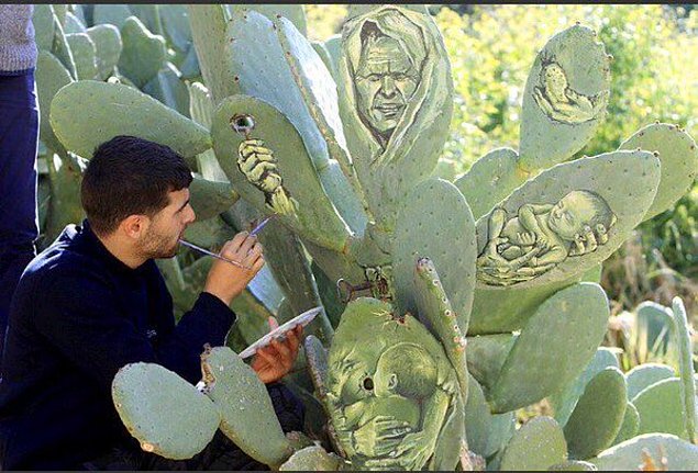 Filistinli sanatçı direnişi kaktüse resmetti - 1