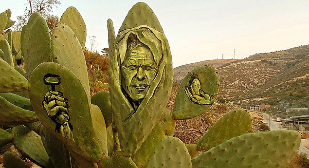 Filistinli sanatçı direnişi kaktüse resmetti - 8