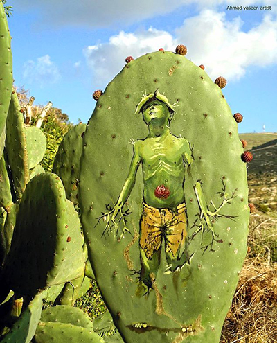 Filistinli sanatçı direnişi kaktüse resmetti - 6