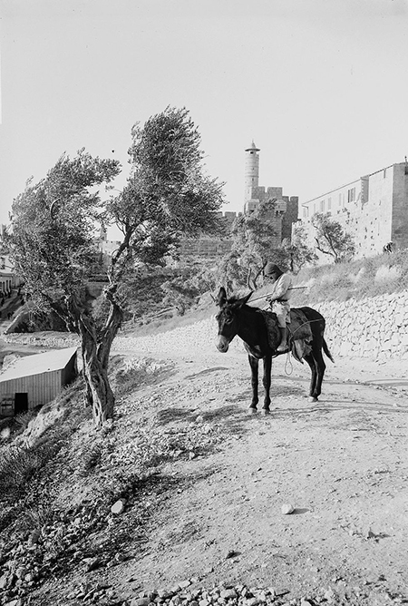 Huzurlu bir Osmanlı şehri: Kudüs - 929