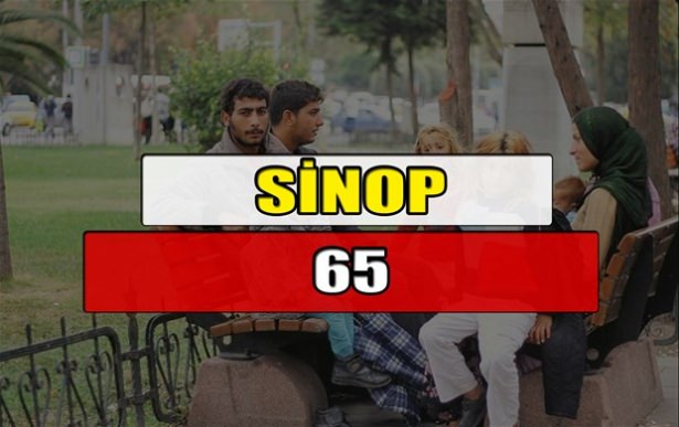 Hangi ilimizde kaç Suriyeli mülteci var? - 45