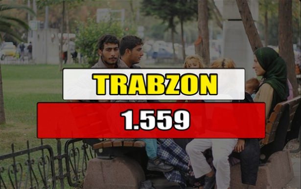 Hangi ilimizde kaç Suriyeli mülteci var? - 15