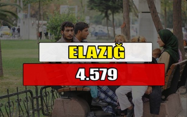 Hangi ilimizde kaç Suriyeli mülteci var? - 4