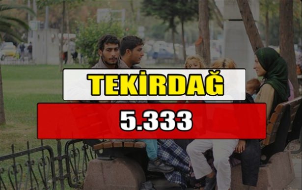 Hangi ilimizde kaç Suriyeli mülteci var? - 6