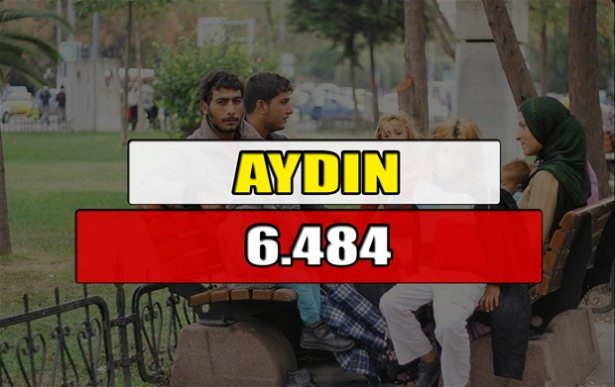 Hangi ilimizde kaç Suriyeli mülteci var? - 9