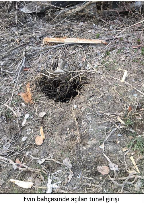 Yüksekova'da ele geçirilen mühimmatlar - 765