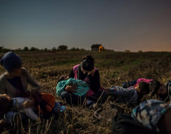 Çileyi mülteciler çekti, ödülü fotoğrafçılar aldı - 16