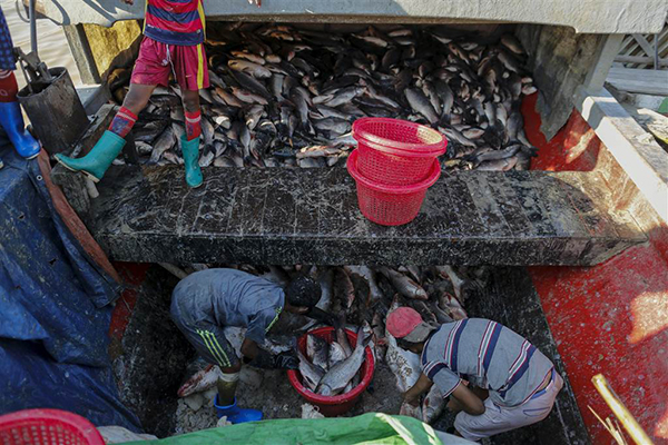 Myanmar'ın ekonomisini çocuklar ayakta tutuyor - 7