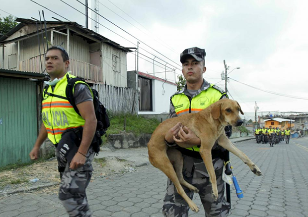 Deprem sonrası Ekvador - 790