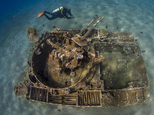 Muhteşem su altı dünyası - 633