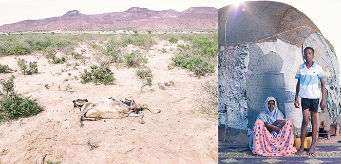 Somaliland'da kuraklık - 2