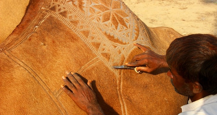 İlginç bir gelenek 'deve berberliği' - 805