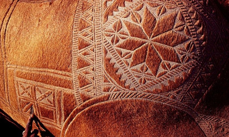 İlginç bir gelenek 'deve berberliği' - 533