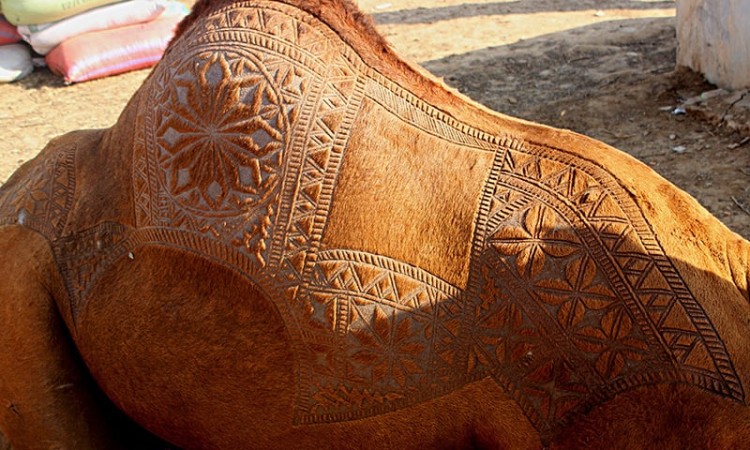 İlginç bir gelenek 'deve berberliği' - 694