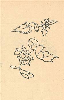 Fatih Sultan Mehmet'in not defteri - 8