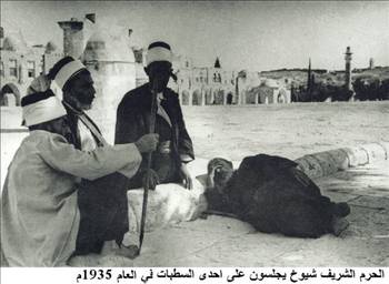 Mescid-i Aksa'dan hiç görülmemiş kareler - 655