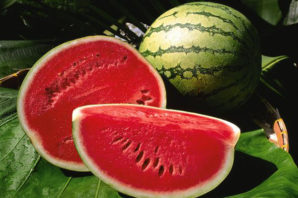 Peygamber Efendimizin tavsiye ettiği yiyecekler - 8