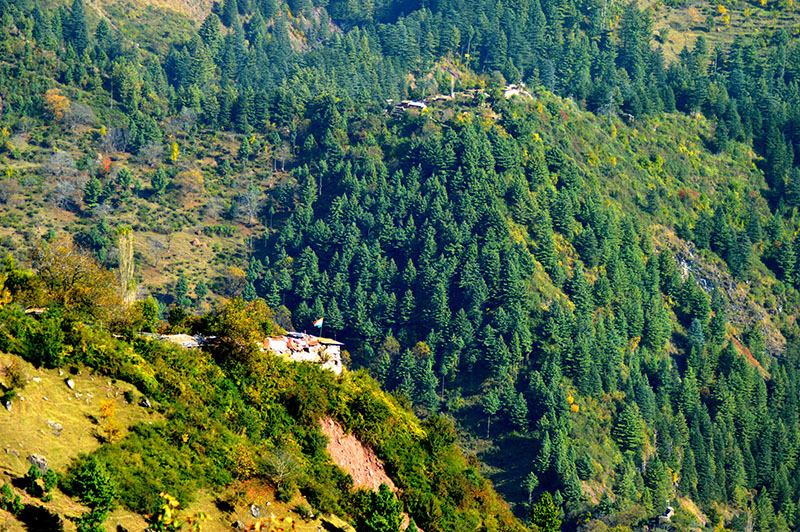 Keşmir'de 'Engellenen' hayatlar - 12