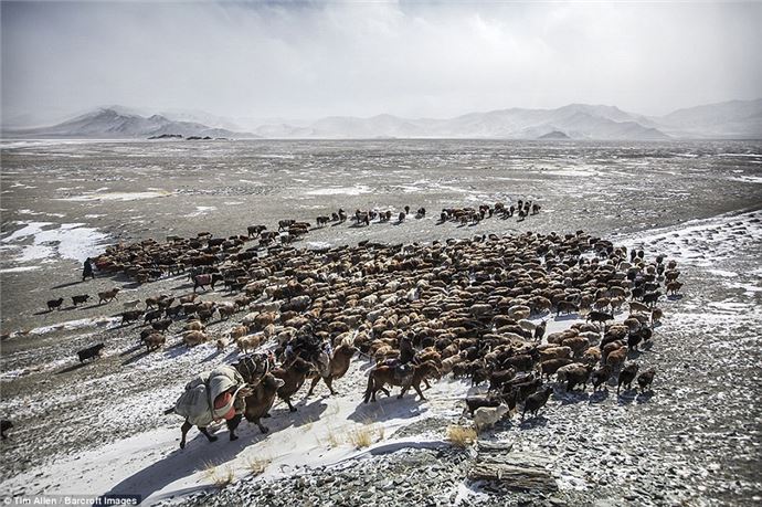 Eksi 40 derecede zorlu göç - 593