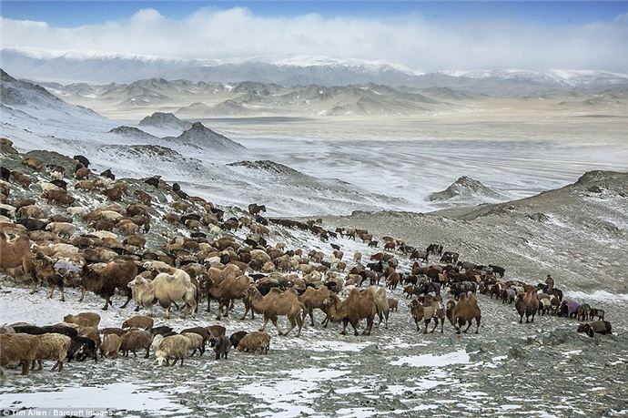 Eksi 40 derecede zorlu göç - 733