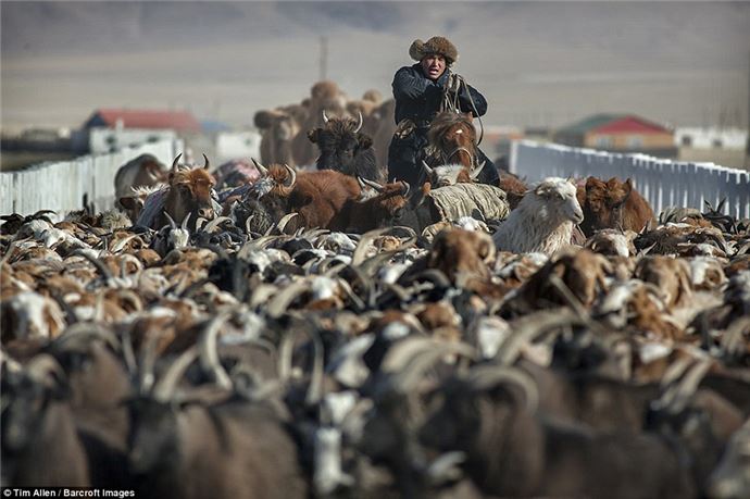 Eksi 40 derecede zorlu göç - 735