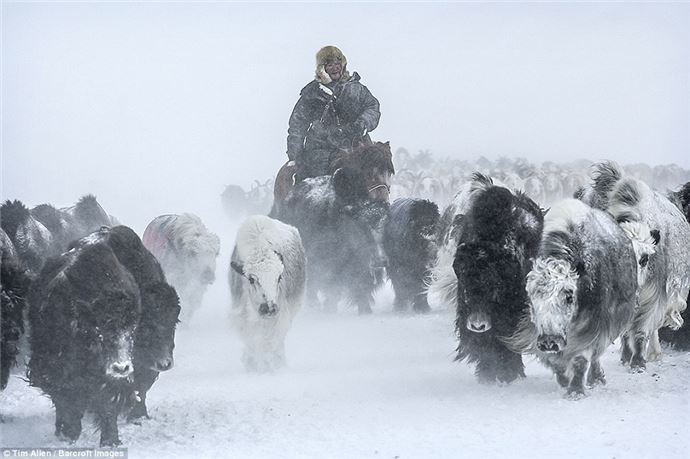 Eksi 40 derecede zorlu göç - 736