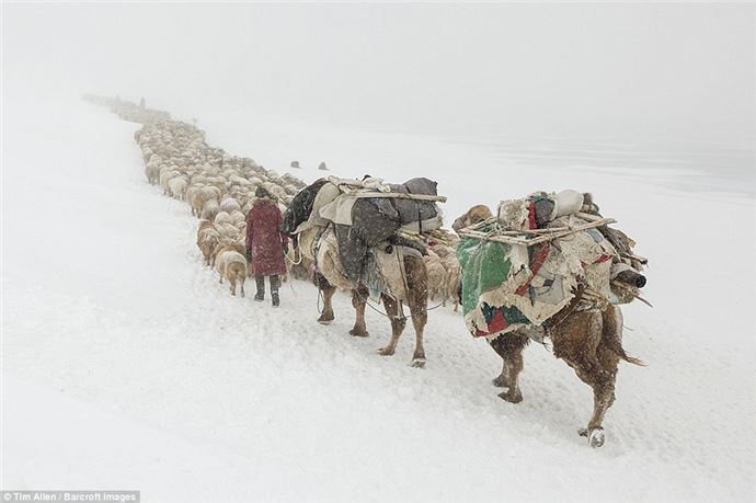 Eksi 40 derecede zorlu göç - 628