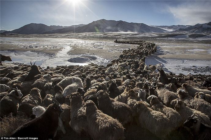 Eksi 40 derecede zorlu göç - 914
