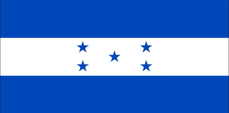 Diğer ülkelerdeki Türk göçmen sayısı - 75