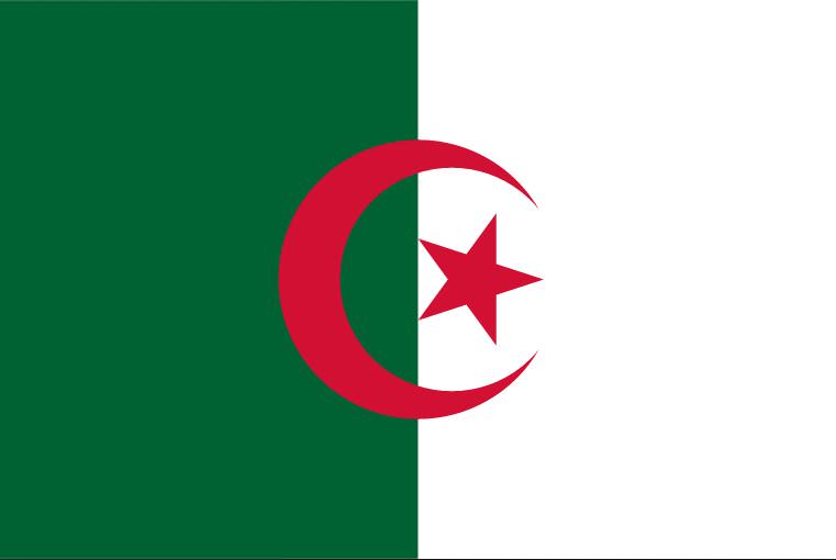 Diğer ülkelerdeki Türk göçmen sayısı - 5