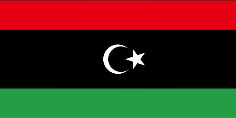 Diğer ülkelerdeki Türk göçmen sayısı - 40