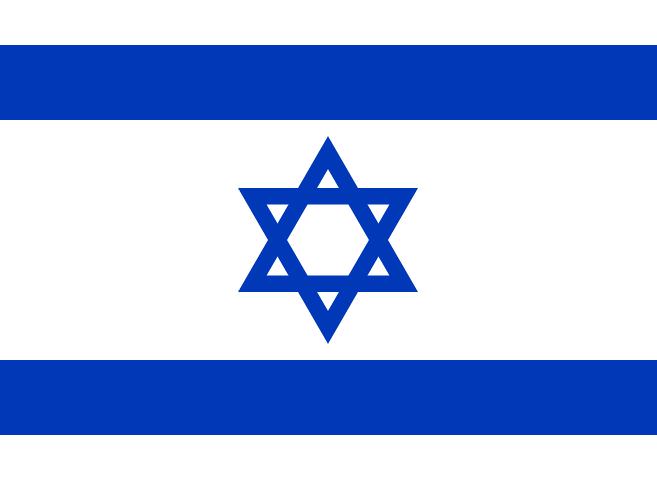 Diğer ülkelerdeki Türk göçmen sayısı - 39