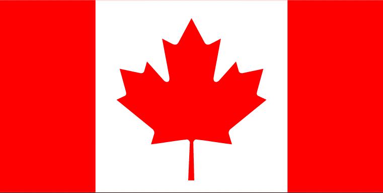 Diğer ülkelerdeki Türk göçmen sayısı - 42