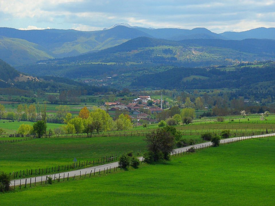 İstanbul'da en çok hangi memleketli yaşıyor? - 49