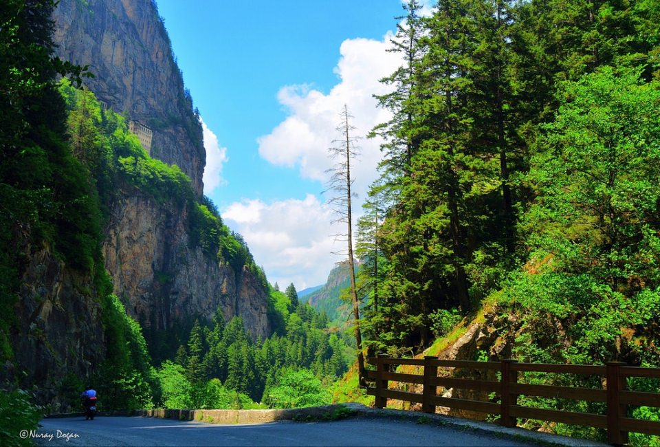 İstanbul'da en çok hangi memleketli yaşıyor? - 76