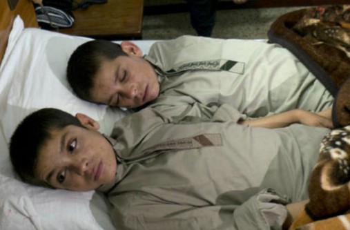 Güneş batınca bitkisel hayata giriyorlar - 8