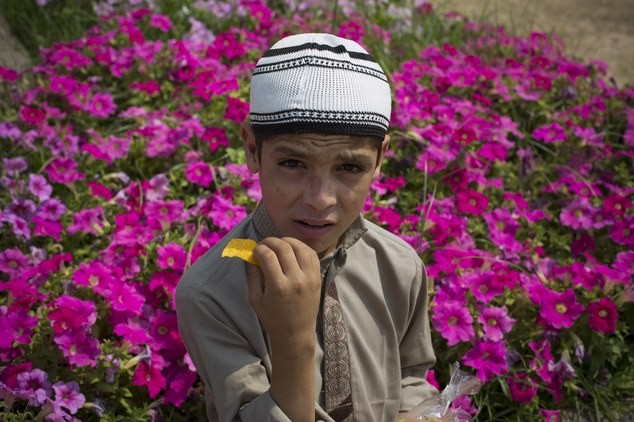 Güneş batınca bitkisel hayata giriyorlar - 2