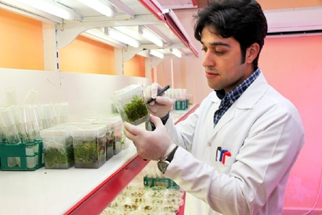 Türkiye'de en çok itibar gören meslekler - 4