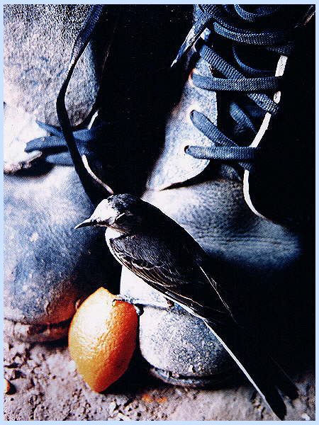 Yakın tarihin en büyük insanlık trajedilerinden biri: İran-Irak Savaşı - 75