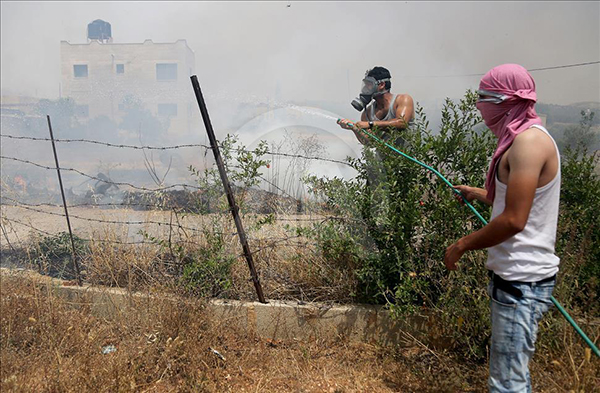Filistinliler Nekbe'yi direnişle anıyor - 20