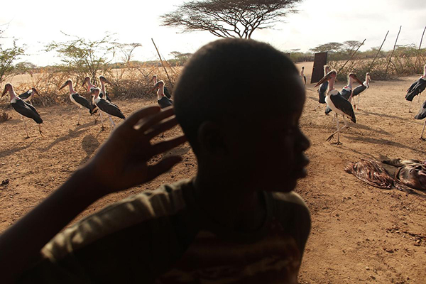 Kenya kampı kapatılırsa… “Mültecilik ömür boyu” - 11