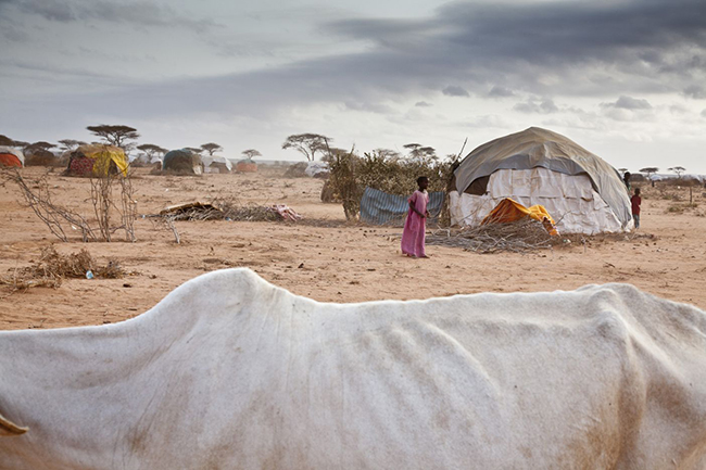 Kenya kampı kapatılırsa… “Mültecilik ömür boyu” - 73