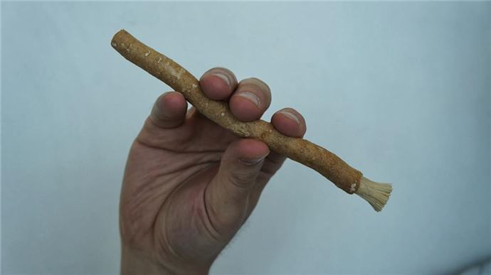 Misvak kullanmanın faydaları - 7