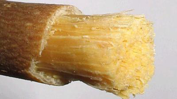 Misvak kullanmanın faydaları - 1